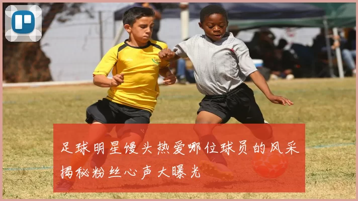足球明星馒头热爱哪位球员的风采揭秘粉丝心声大曝光