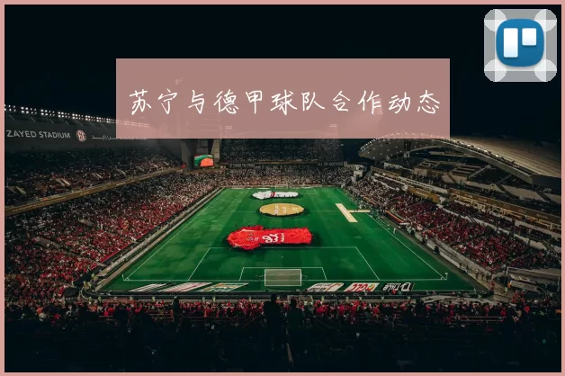 苏宁与德甲球队合作动态