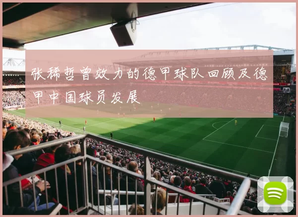 张稀哲曾效力的德甲球队回顾及德甲中国球员发展