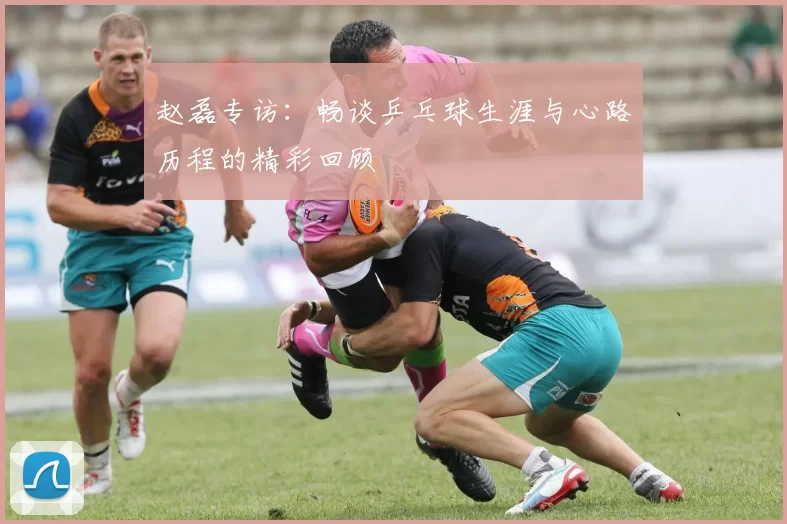 赵磊专访：畅谈乒乓球生涯与心路历程的精彩回顾