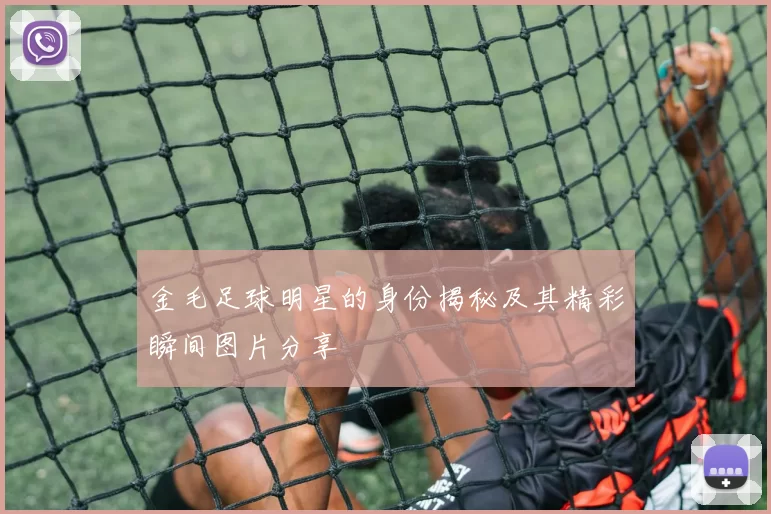 金毛足球明星的身份揭秘及其精彩瞬间图片分享