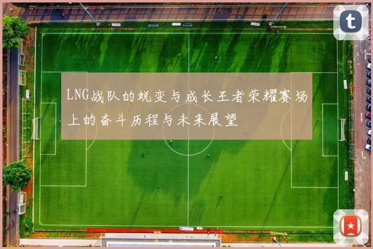 LNG战队的蜕变与成长王者荣耀赛场上的奋斗历程与未来展望