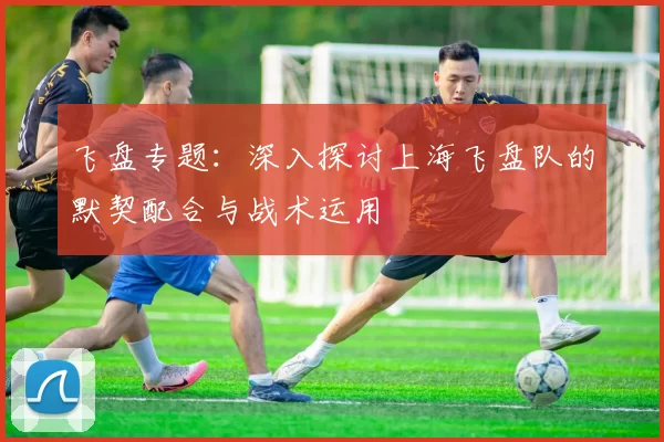 飞盘专题：深入探讨上海飞盘队的默契配合与战术运用