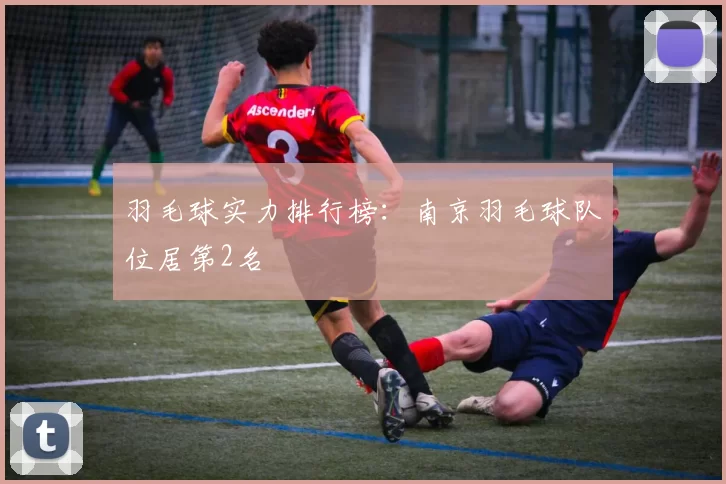 羽毛球实力排行榜：南京羽毛球队位居第2名
