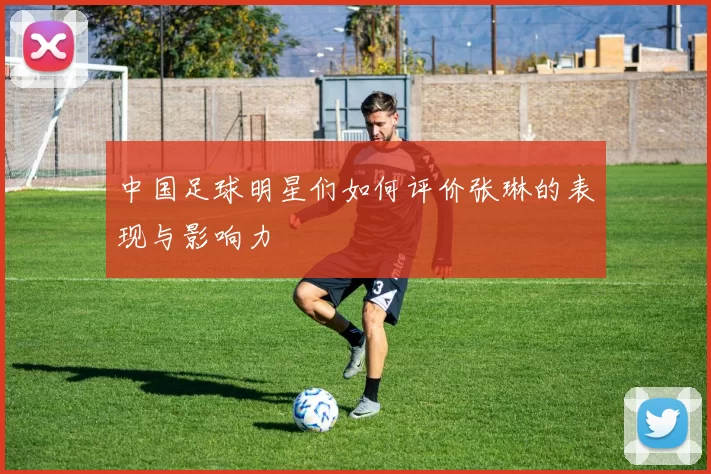 中国足球明星们如何评价张琳的表现与影响力