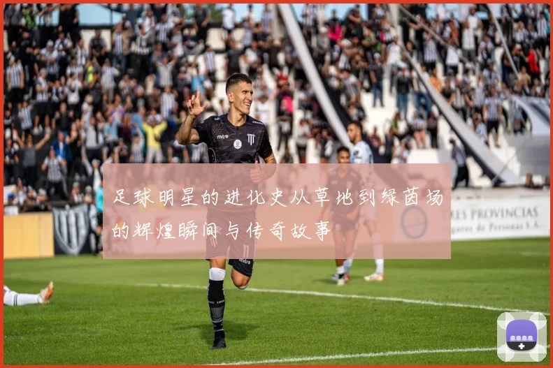 足球明星的进化史从草地到绿茵场的辉煌瞬间与传奇故事